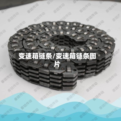 变速箱链条/变速箱链条图片