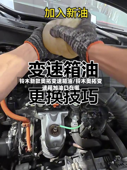 铃木新款奥拓变速箱油/铃木奥拓变速箱加油口在哪