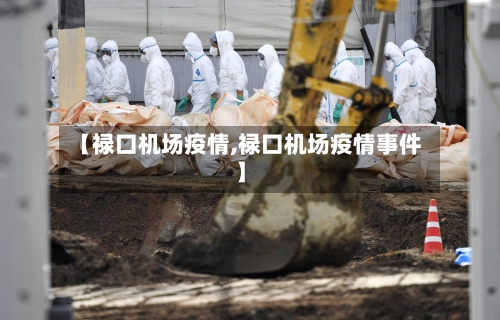 【禄口机场疫情,禄口机场疫情事件】-第2张图片