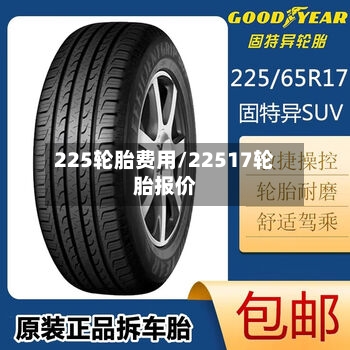 225轮胎费用/22517轮胎报价-第3张图片