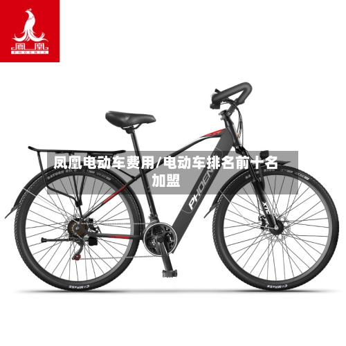 凤凰电动车费用/电动车排名前十名加盟-第2张图片