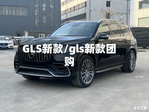 GLS新款/gls新款团购-第3张图片