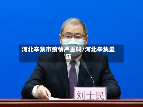 河北辛集市疫情严重吗/河北辛集最新