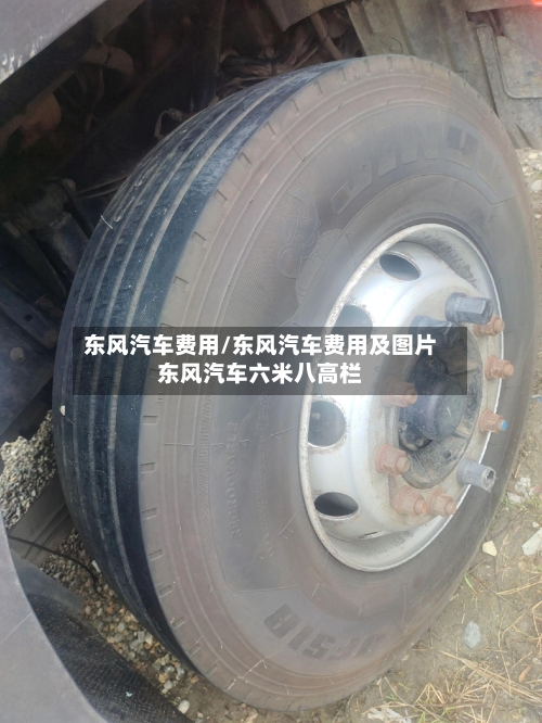 东风汽车费用/东风汽车费用及图片东风汽车六米八高栏-第3张图片