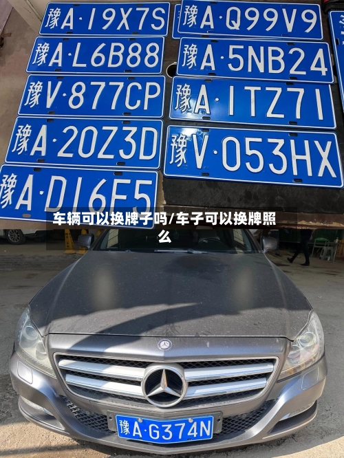 车辆可以换牌子吗/车子可以换牌照么