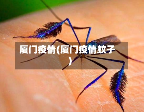 厦门疫情(厦门疫情蚊子)