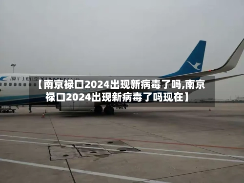 【南京禄口2024出现新病毒了吗,南京禄口2024出现新病毒了吗现在】