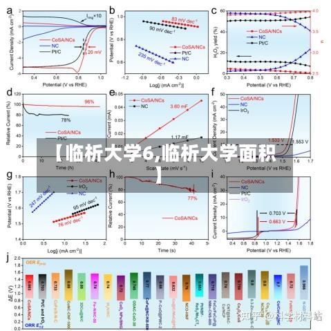 【临析大学6,临析大学面积】-第2张图片