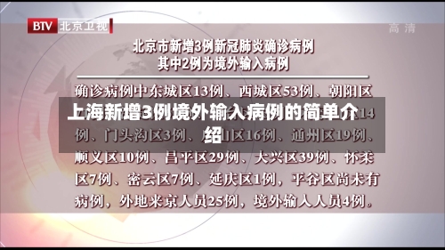 上海新增3例境外输入病例的简单介绍-第2张图片