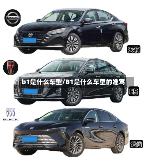 b1是什么车型/B1是什么车型的准驾