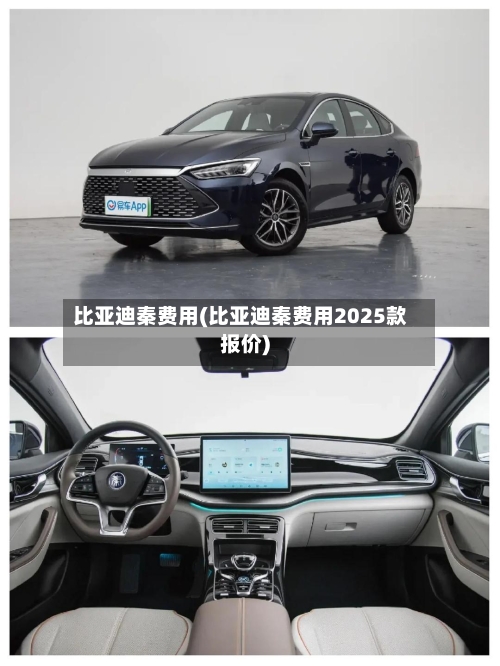 比亚迪秦费用(比亚迪秦费用2025款报价)