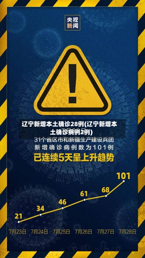 辽宁新增本土确诊28例(辽宁新增本土确诊病例2例)