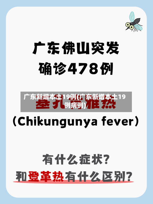 广东新增本土19例(广东新增本土19例病例)-第3张图片