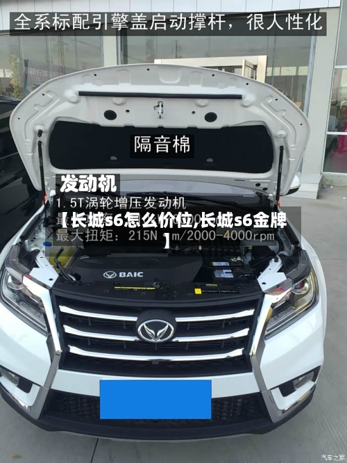 【长城s6怎么价位,长城s6金牌】-第2张图片