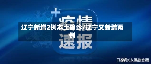 辽宁新增2例本土确诊/辽宁又新增两例