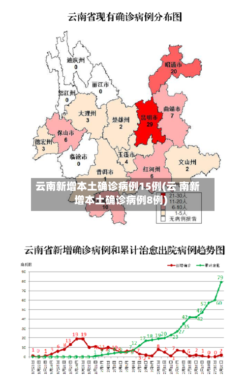 云南新增本土确诊病例15例(云 南新增本土确诊病例8例)-第2张图片
