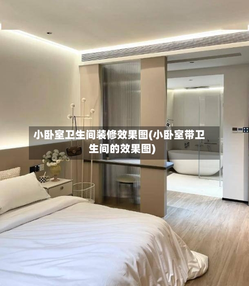 小卧室卫生间装修效果图(小卧室带卫生间的效果图)