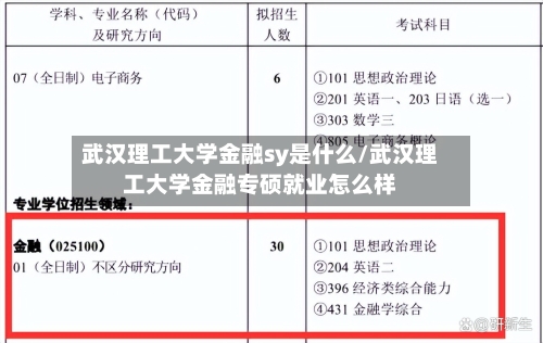 武汉理工大学金融sy是什么/武汉理工大学金融专硕就业怎么样-第2张图片