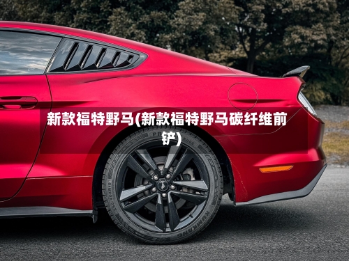 新款福特野马(新款福特野马碳纤维前铲)
