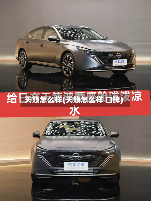 天籁怎么样(天籁怎么样 口碑)-第3张图片