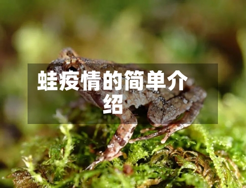 蛙疫情的简单介绍