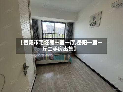 【岳阳市毛坯房一室一厅,岳阳一室一厅二手房出售】