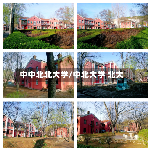 中中北北大学/中北大学 北大-第2张图片