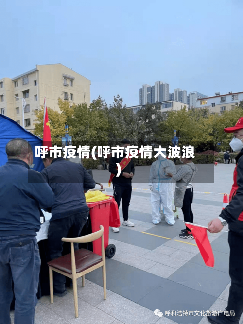 呼市疫情(呼市疫情大波浪)-第3张图片