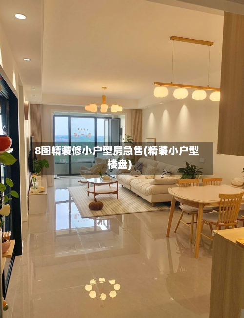 8图精装修小户型房急售(精装小户型楼盘)
