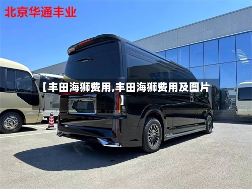 【丰田海狮费用,丰田海狮费用及图片】-第2张图片