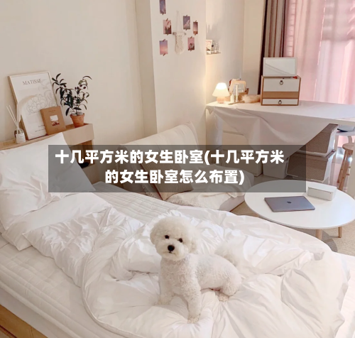 十几平方米的女生卧室(十几平方米的女生卧室怎么布置)-第2张图片