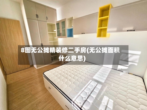 8图无公摊精装修二手房(无公摊面积什么意思)-第2张图片