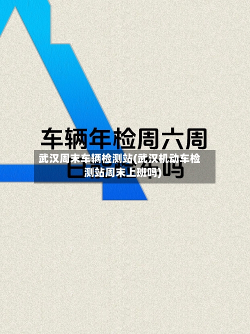 武汉周末车辆检测站(武汉机动车检测站周末上班吗)