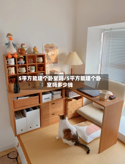5平方能建个卧室吗/5平方能建个卧室吗多少钱-第2张图片