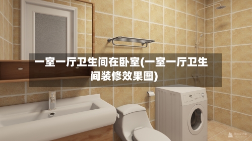 一室一厅卫生间在卧室(一室一厅卫生间装修效果图)