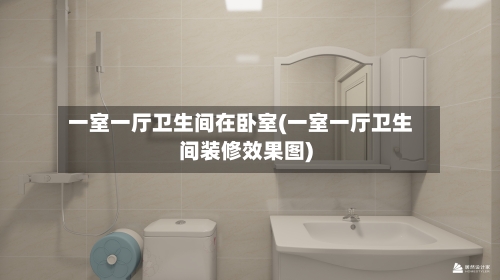 一室一厅卫生间在卧室(一室一厅卫生间装修效果图)-第2张图片