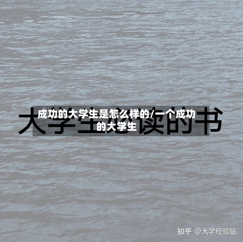 成功的大学生是怎么样的/一个成功的大学生-第2张图片