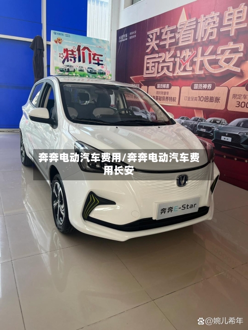 奔奔电动汽车费用/奔奔电动汽车费用长安