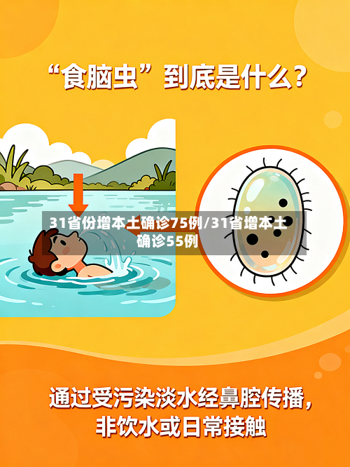 31省份增本土确诊75例/31省增本土确诊55例