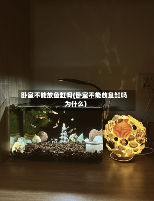 卧室不能放鱼缸吗(卧室不能放鱼缸吗为什么)