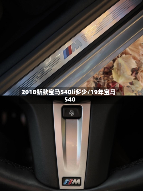 2018新款宝马540li多少/19年宝马540