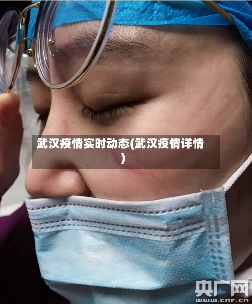 武汉疫情实时动态(武汉疫情详情)-第2张图片