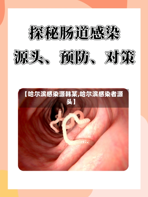 【哈尔滨感染源韩某,哈尔滨感染者源头】-第2张图片