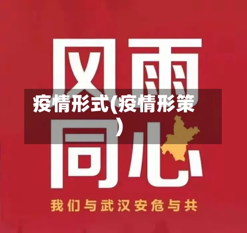 疫情形式(疫情形策)-第2张图片