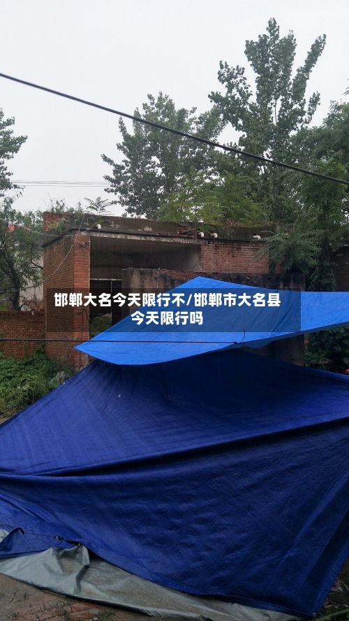 邯郸大名今天限行不/邯郸市大名县今天限行吗