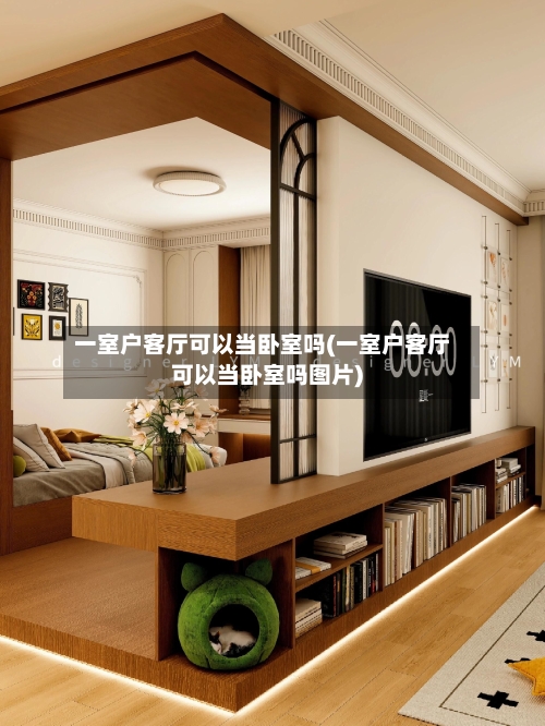 一室户客厅可以当卧室吗(一室户客厅可以当卧室吗图片)