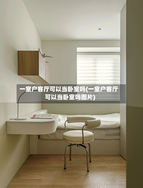 一室户客厅可以当卧室吗(一室户客厅可以当卧室吗图片)-第2张图片