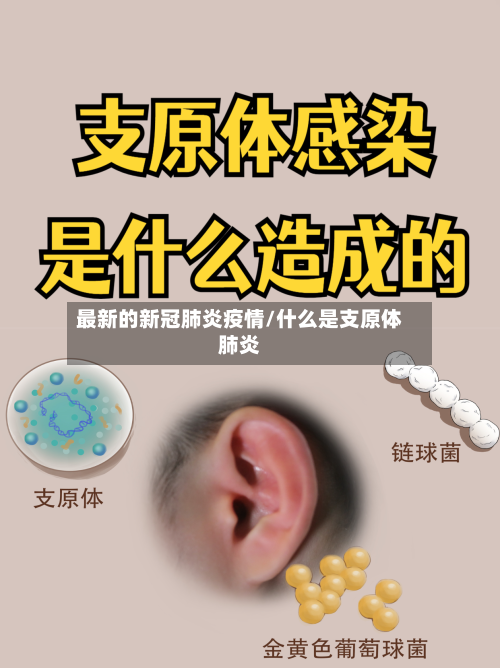 最新的新冠肺炎疫情/什么是支原体肺炎-第3张图片