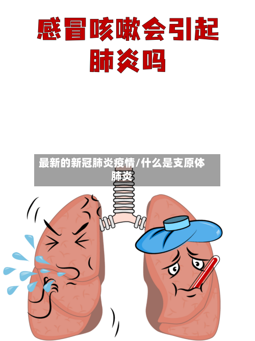 最新的新冠肺炎疫情/什么是支原体肺炎-第2张图片