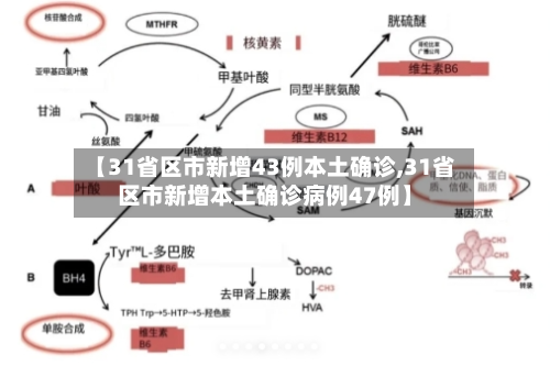 【31省区市新增43例本土确诊,31省区市新增本土确诊病例47例】-第2张图片